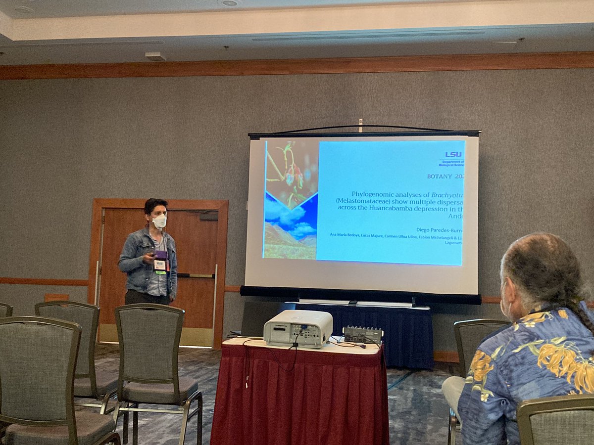 Luis Y. Santiago-Rosario, Ph.D. (@saltyecoevo) on Twitter photo <a href="/evoyeyo/">Diego Paredes-Burneo</a> gave us a great talk about phylogenetic relationships of Brachyotum and the role the Huancabamba depression might be playing on the diversification of the group! #botany2022 <a href="/LSU_BioSci/">LSU Department of Biological Sciences</a> <a href="/LSUHerbarium/">S. Tucker Herbarium</a> <a href="/evoyeyo/">Diego Paredes-Burneo</a> gave us a great talk about phylogenetic relationships of Brachyotum and the role the Huancabamba depression might be playing on the diversification of the group! #botany2022 <a href="/LSU_BioSci/">LSU Department of Biological Sciences</a> <a href="/LSUHerbarium/">S. Tucker Herbarium</a>