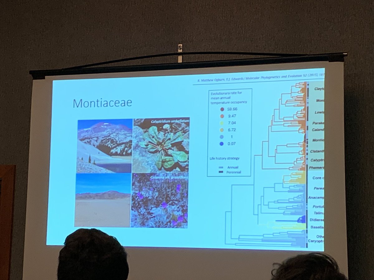 Morgan Gostel tweet media