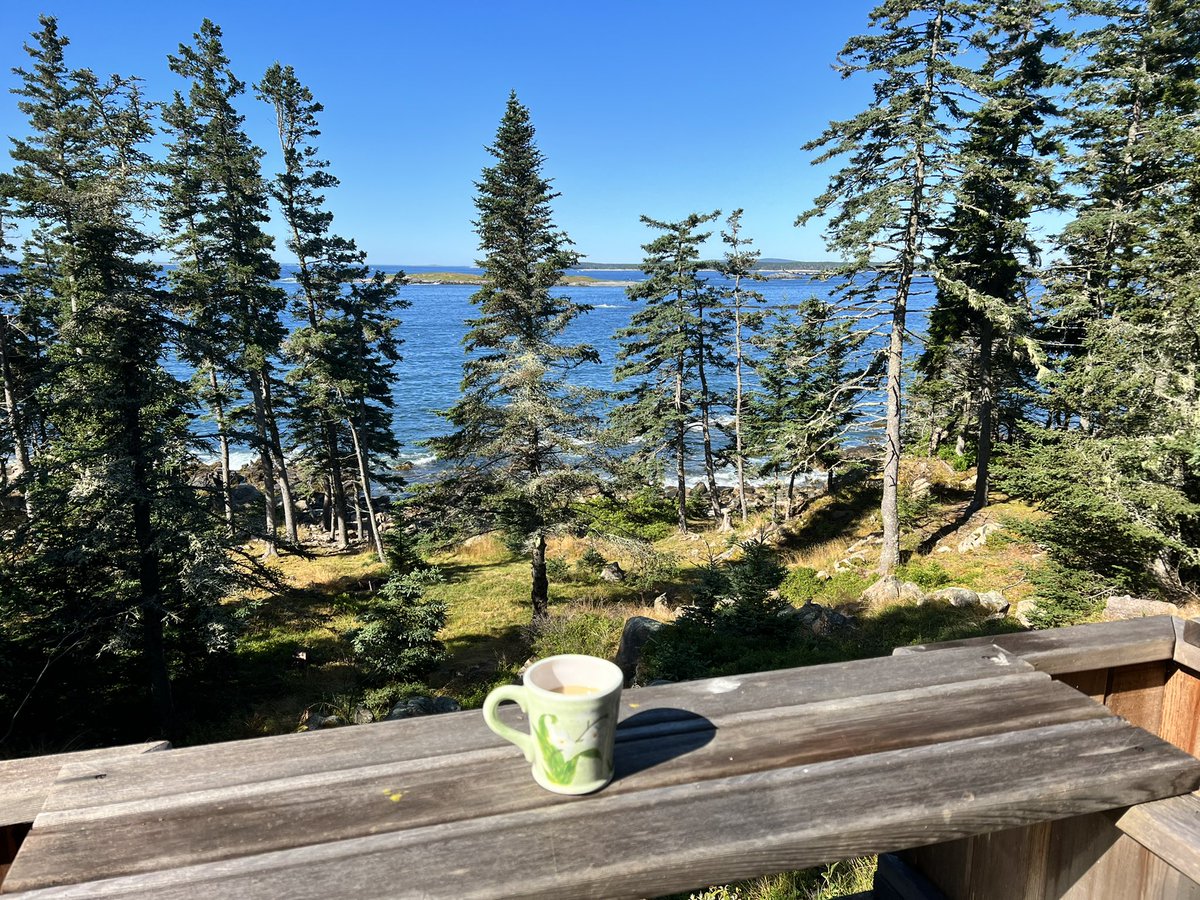Good morning from Swan’s Island, Maine.
#thewaylifeshouldbe