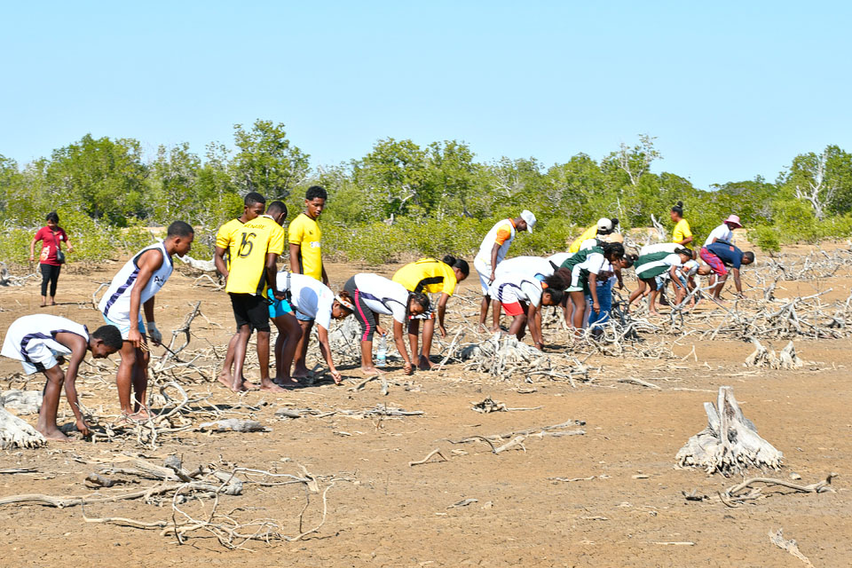 WWF Madagascar tweet media