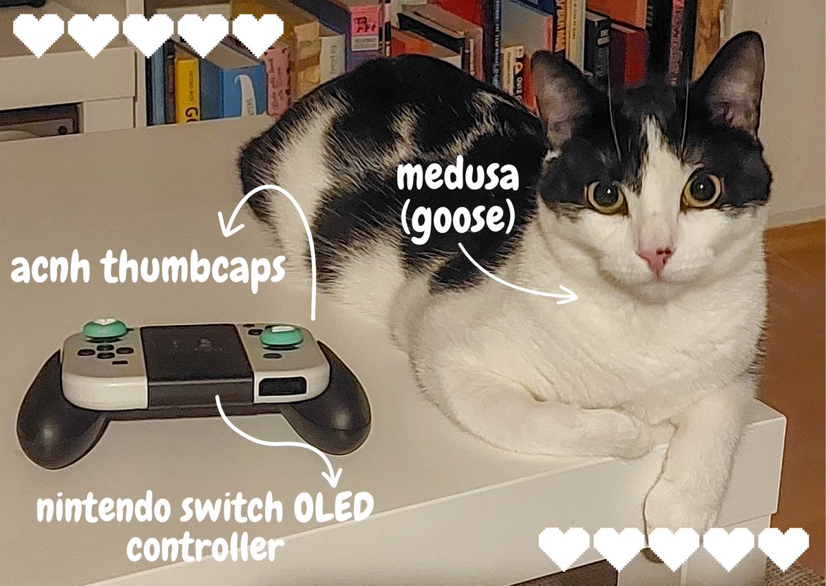 phionerm's tweet photo. LOOK AT MY GAMER KITTY #gaming https://t.co/t5m63SVztL