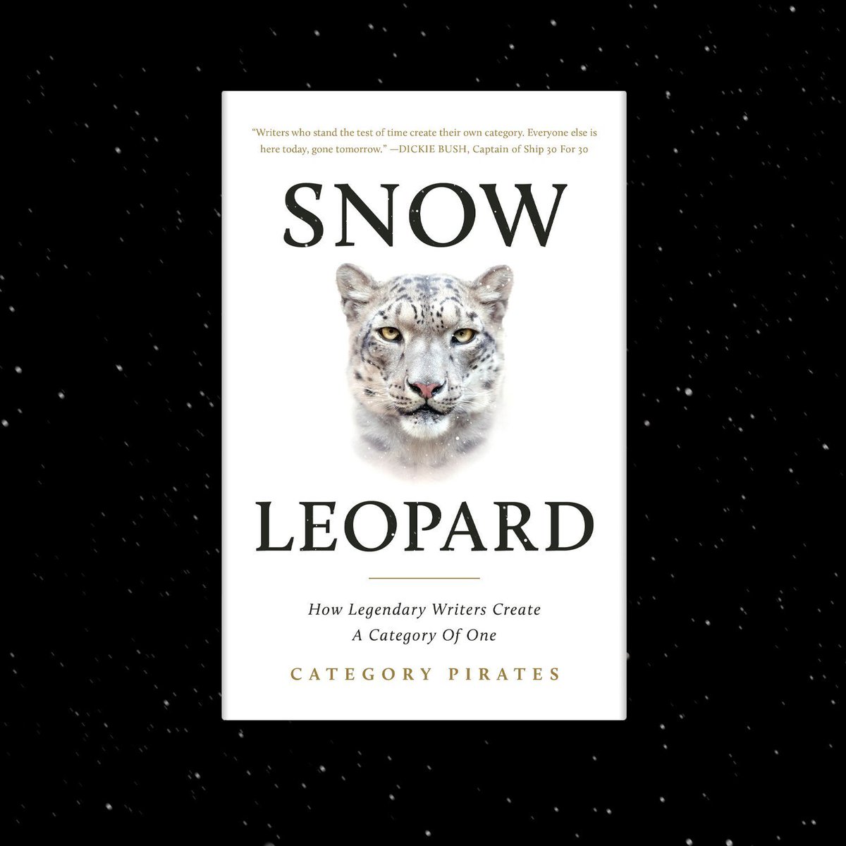 Nicolas Cole 🚢👻 tweet media