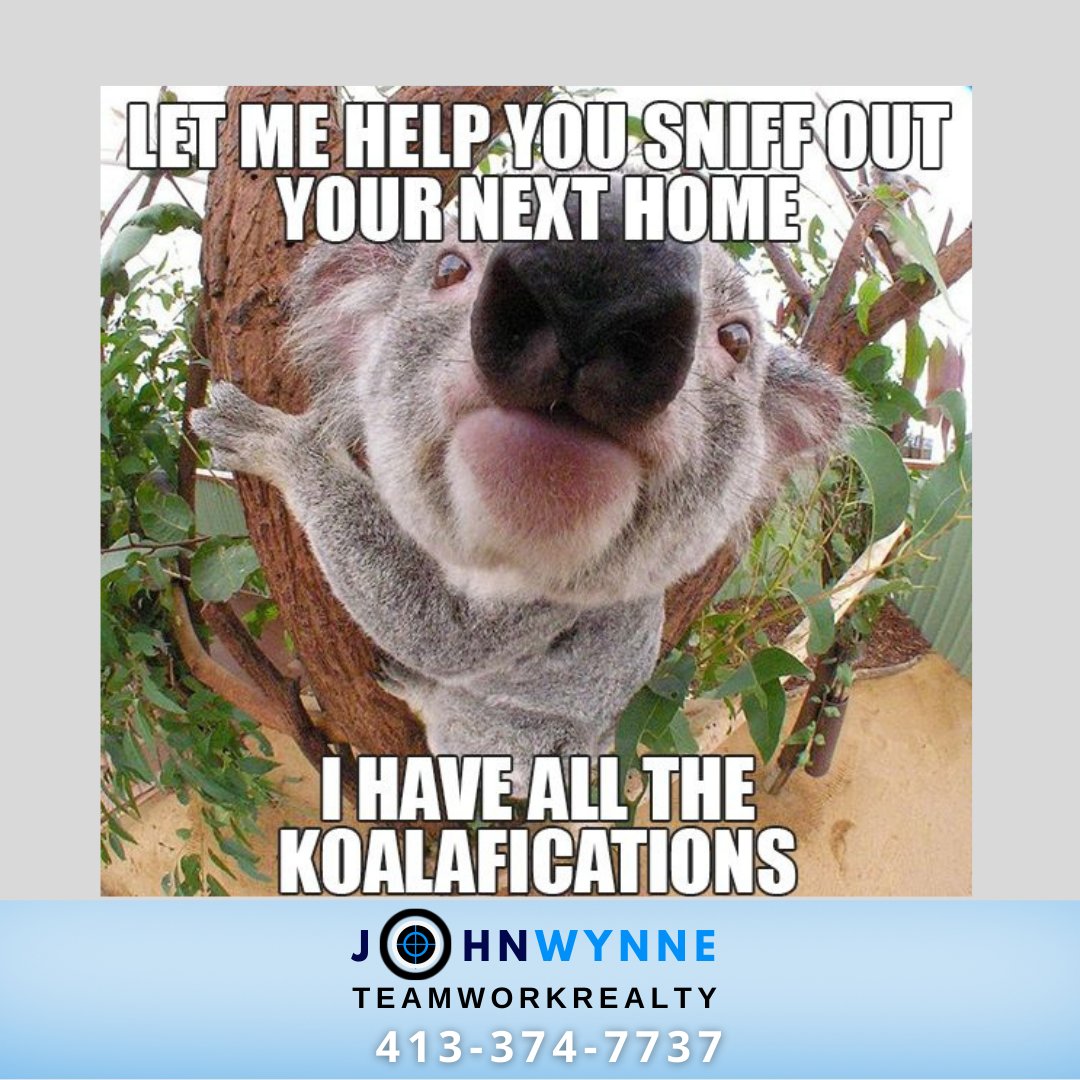 WinWithWynne's tweet photo. I'm here for all your real estate needs 🏡

Contact me today
📱1-413-374-7737

#JohnWynne #WinningWithWynne #Winning #Wynne #RealEstate #Realtor #Realtors #RealEstateMassachusetts #RealtorLife https://t.co/je6AISmsKn