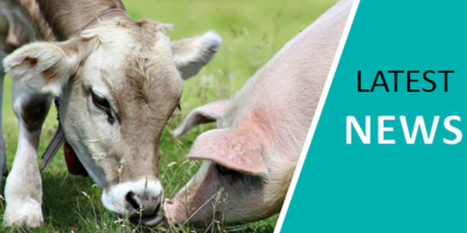 Here is our latest DEFEND Newsletter with news of our Annual Consortium Meeting and a focus on our Greek partner <a href="/MinagricPress/">Υπουργείο Αγροτικής Ανάπτυξης και Τροφίμων</a> mailchi.mp/5e485b36cd0e/d…