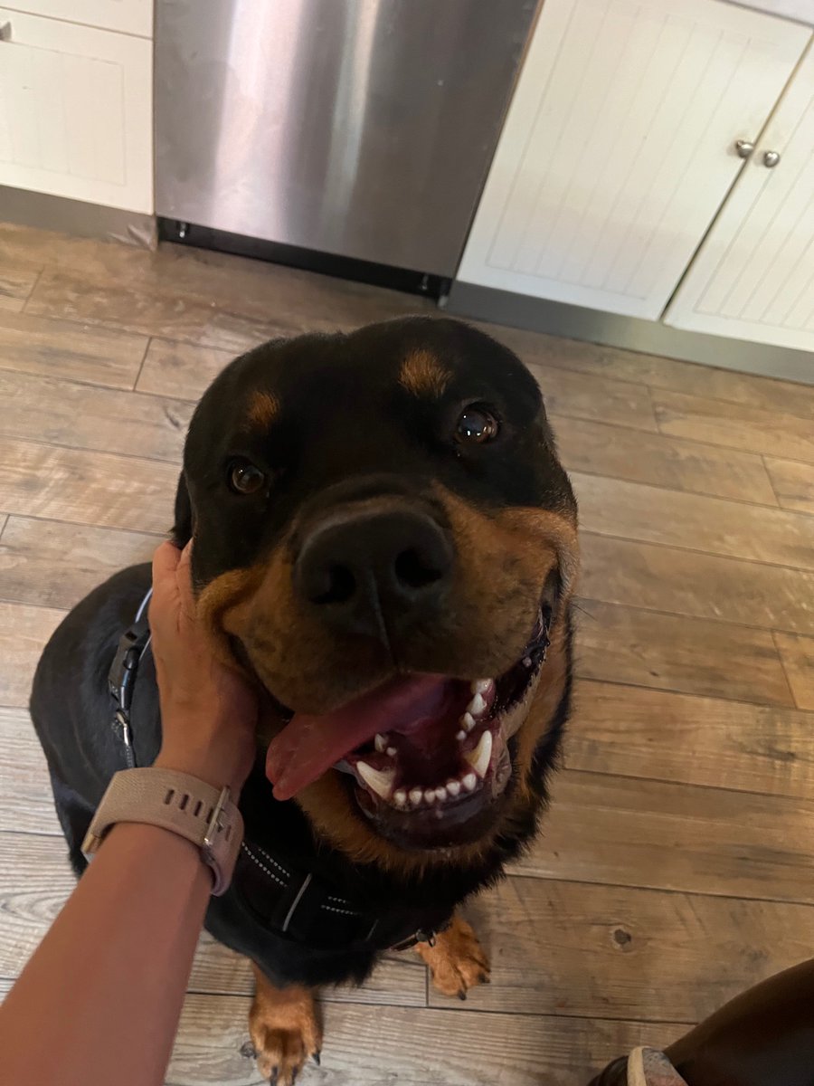 Where do I find a man who looks at me like this?