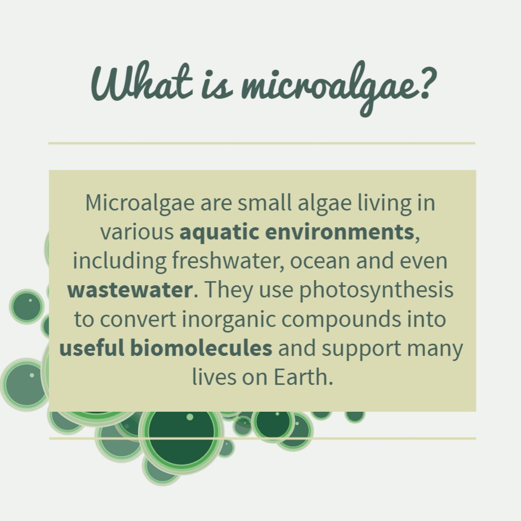 iGEM_2022_Manchester tweet media