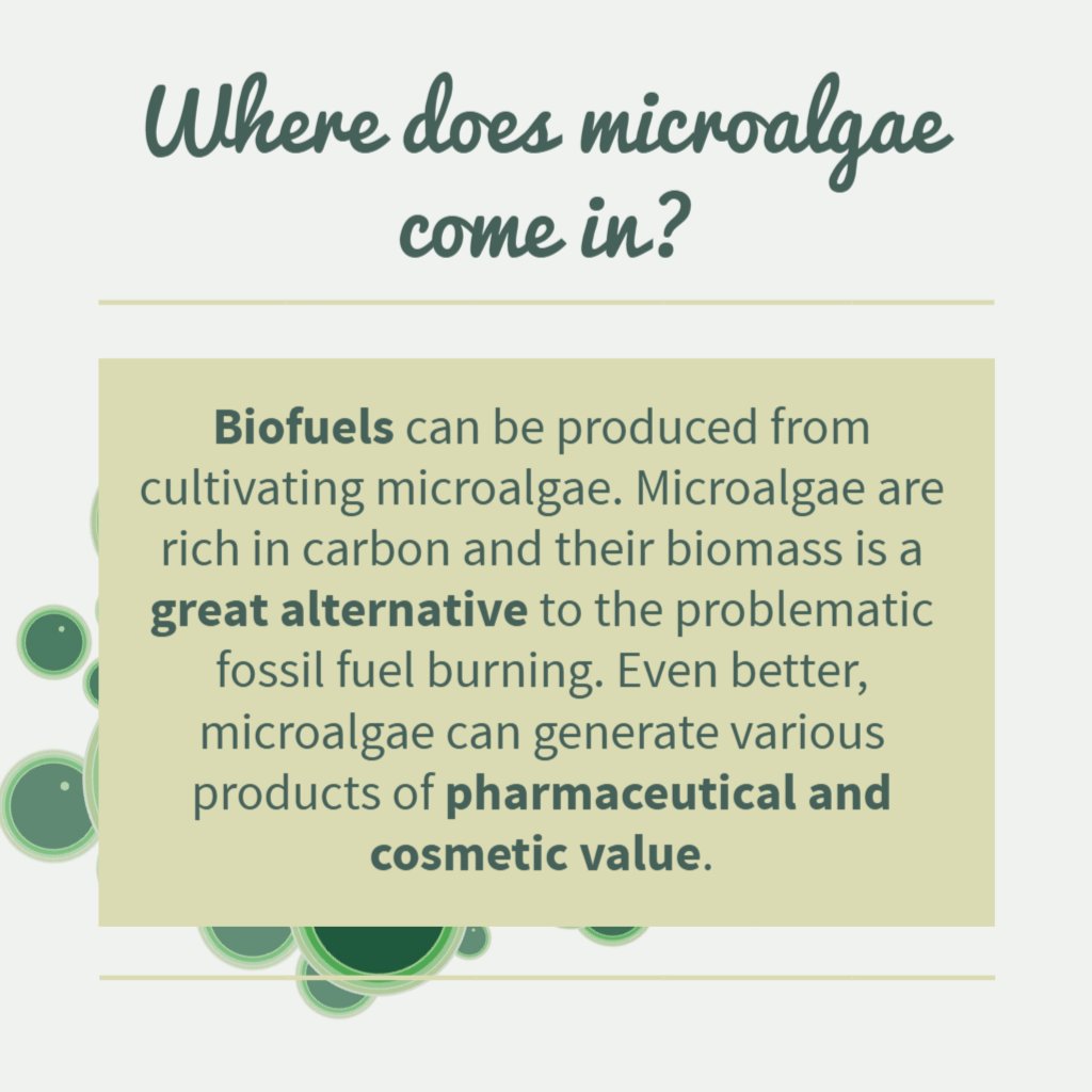 iGEM_2022_Manchester tweet media