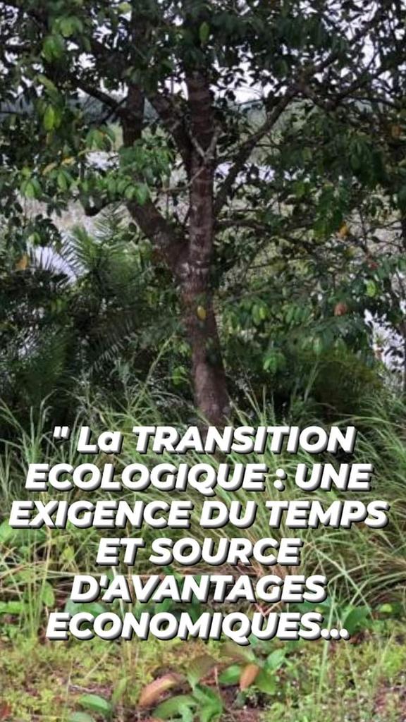 BongoBoussougou's tweet photo. #Gabon | Ecological  alarm bell

Sustainable development induces the awareness of leaders and actors of the world on the need to mobilize human and material resources for a better positioning on environmental or even ecological issues. https://t.co/IykKhdxz7Q