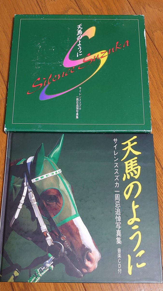 天馬のようにサイレンススズカI周追悼写真集