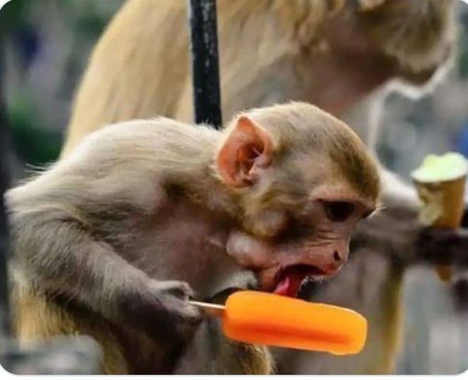 Skhakhish_M's tweet photo. @ThatoLimii @MichaelBucwa My lollipop https://t.co/ZsXt8omG5C