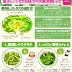 長持ちする保存方法など覚えておきたい知識も!電子レンジで作れちゃうレタスレシピ6選!