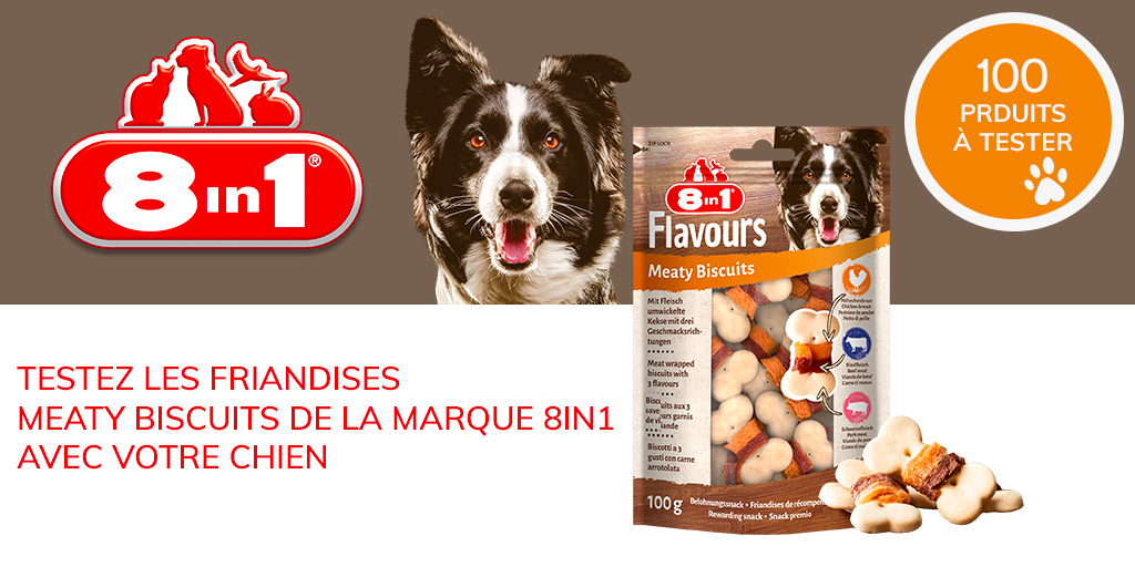 ConsoAnimo's tweet image. 🚨 Il ne vous reste plus que quelques jours pour vous inscrire au test des friandises Meaty Biscuits pour chiens ! 🐕

#testproduit #consoanimo

consoanimo.com/test/meaty-bis…