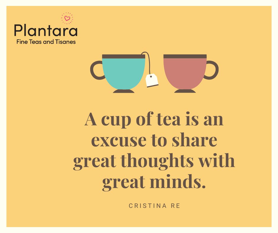 PlantaraTea's tweet photo. A cup of tea is an excuse to share great thoughts with great minds

#PlantaraTea
#friends #connection #memories #community #happiness #experience #journey #network
#tealovers #amazing
#teatime https://t.co/YRV9YkNBVB