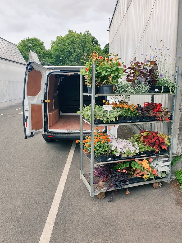 MuhemMiah tweet media