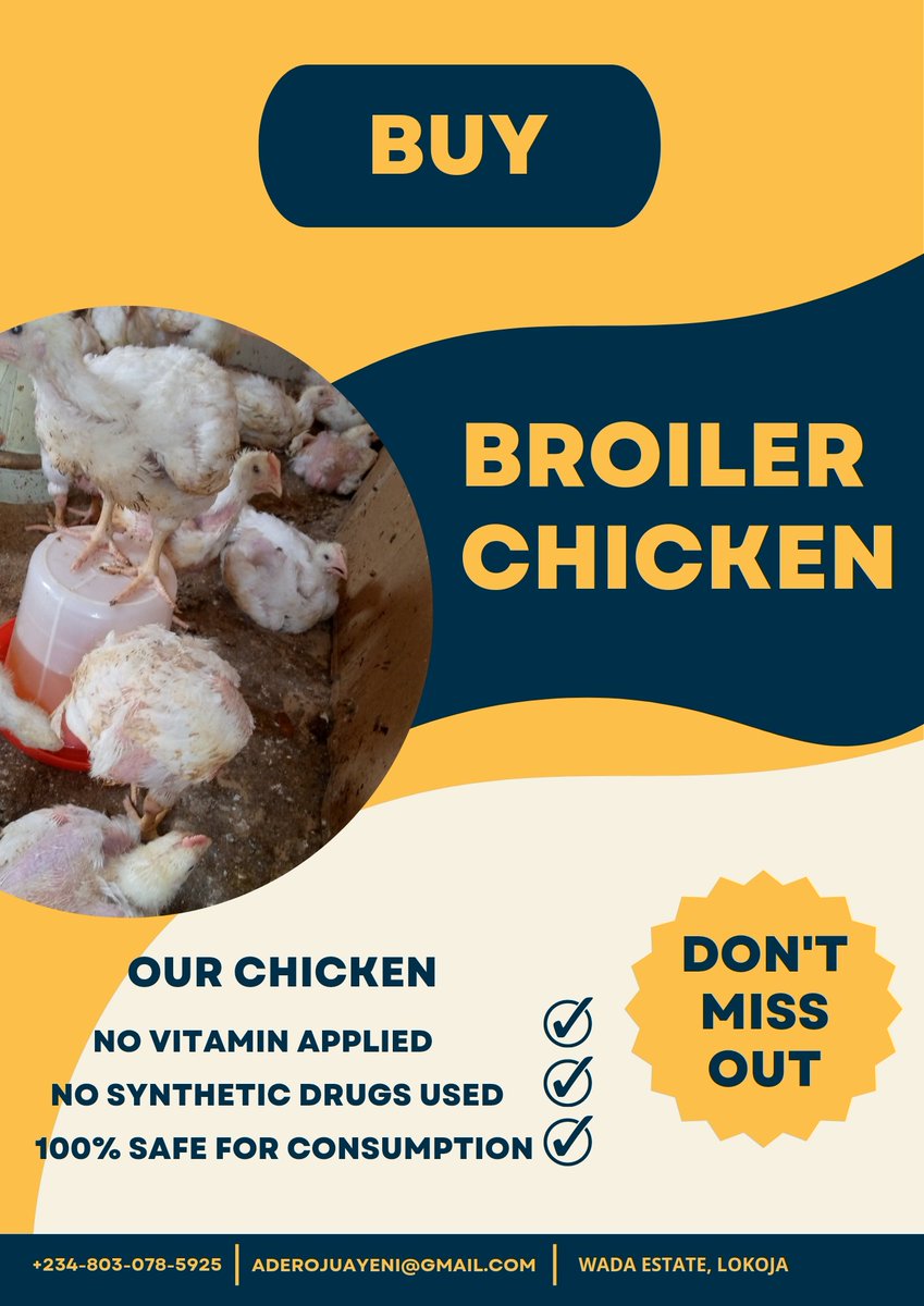 PhotoframeMedia's tweet photo. Buy Chrysolite chicken, the best you can found anywhere. https://t.co/e6AiDYyjkh