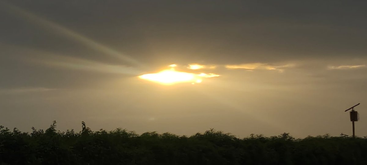 *સૂરજ વાદળ નીચે દબાય જવાથી એની ચમક અને અસ્તિત્વ ખતમ નથી થતું સમય, સમય નું કામ કરે છે. પણ જ્યારે પણ એ વાદળ હટી જશે ત્યારે એજ અંદાજ મા પાછો દેખાય આવશે...* 🥰#Born #To #Become #Brand