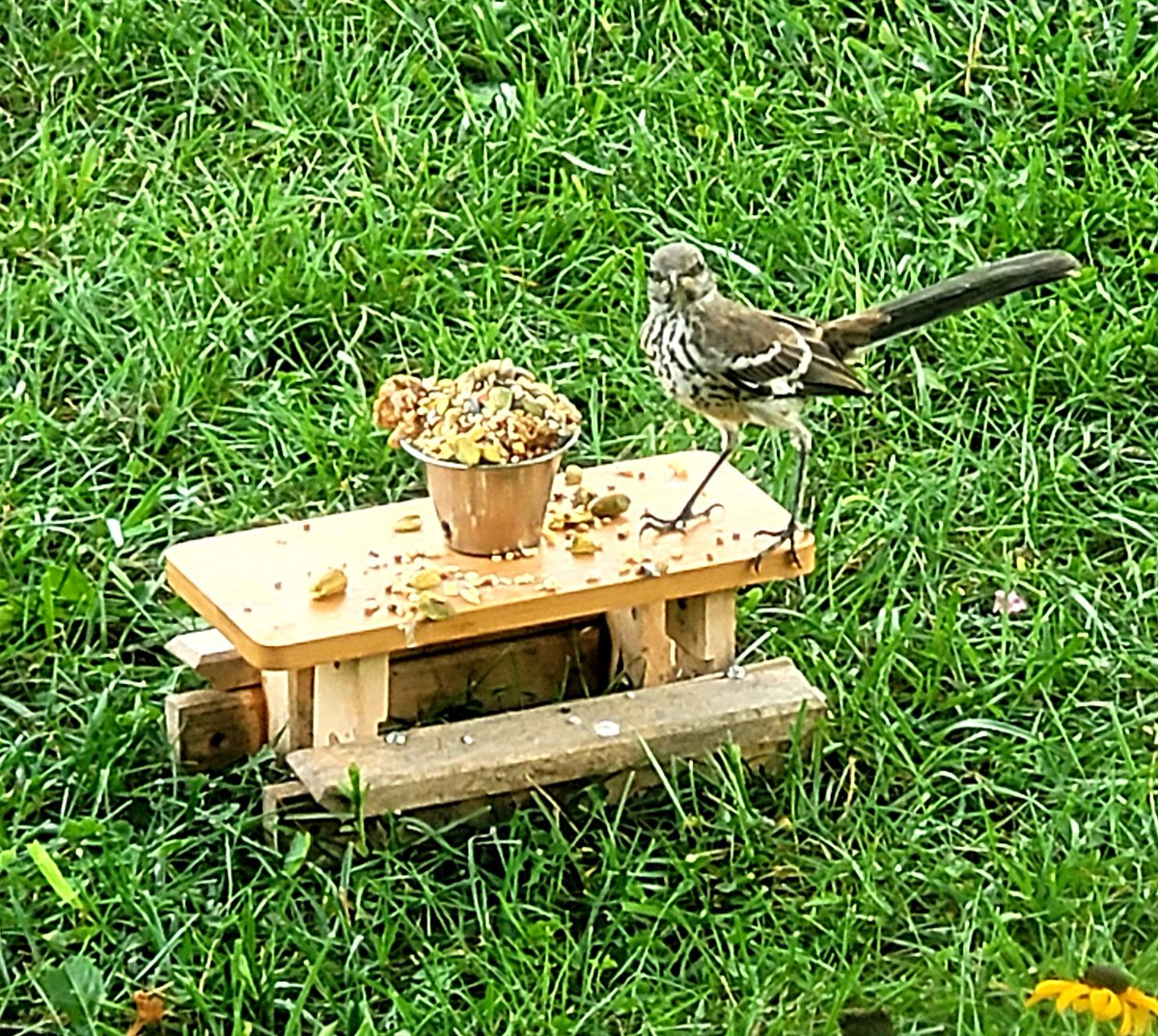 CrazyCharlie615's tweet image. 5 star rating for sure from this #TinyTable customer