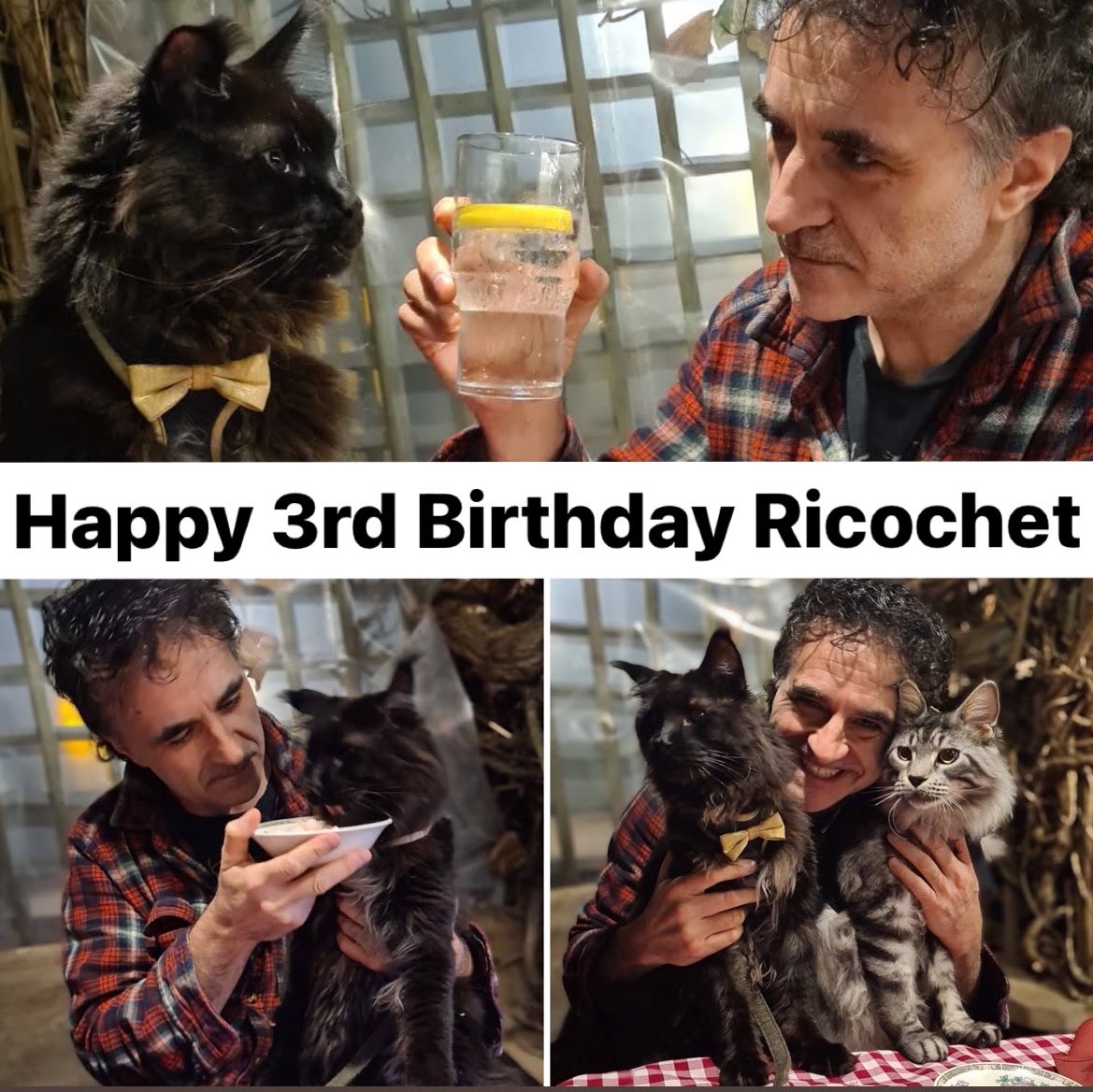 Noel Fitzpatrick tweet media