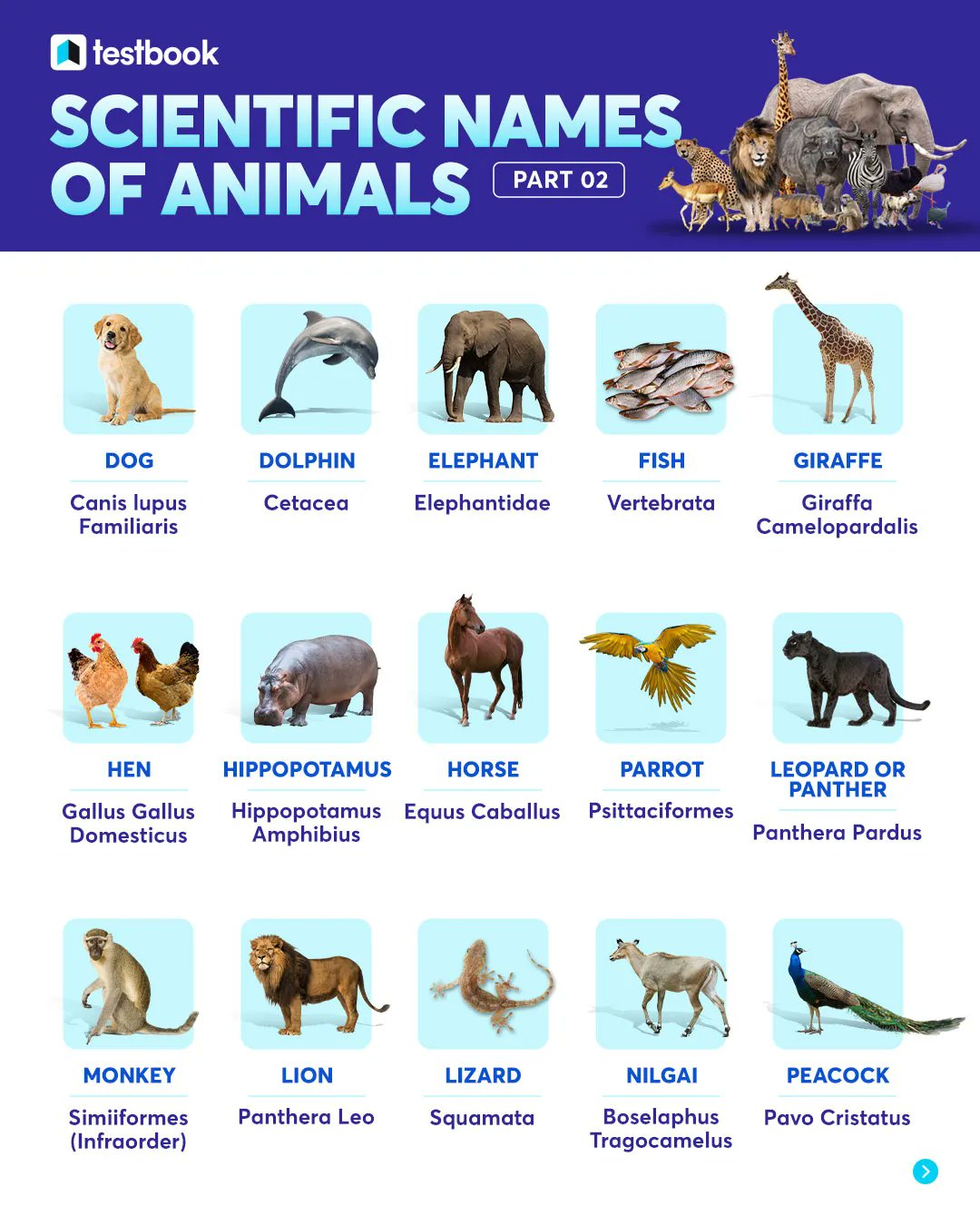 Top 157 + Scientific names for domestic animals