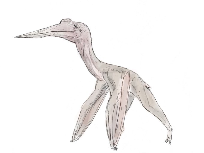 ケツァルコアトルスのtwitterイラスト検索結果 ケツァルコアトルスのtwitterイラスト検索結果