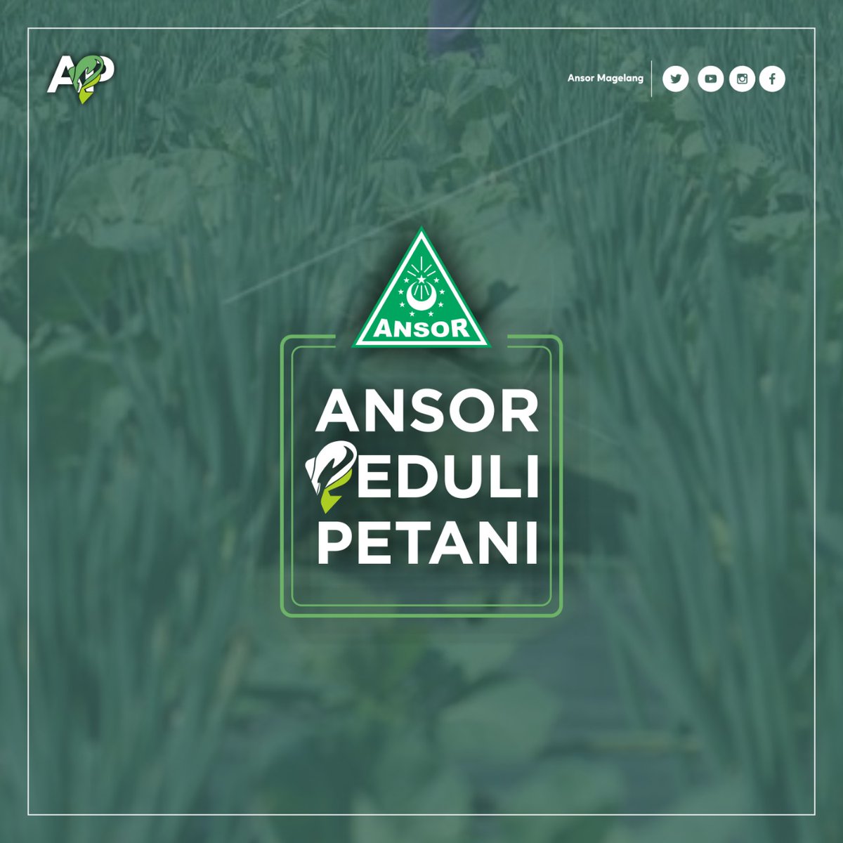 PC GP Ansor Kab Magelang Berikhtiar Membantu Petani.

Sahabat-Sahabat Ansor juga para petani di wilayah lereng gunung Merbabu, Ngandong, Telomoyo dan sekitarnya, berikhtiar membagikan hasil panennya.
<a href="/Ansor_Satu/">yaqut cholil qoumas</a>
@addfiq

#AnsorPeduliPetani
#AnsorBerbagi