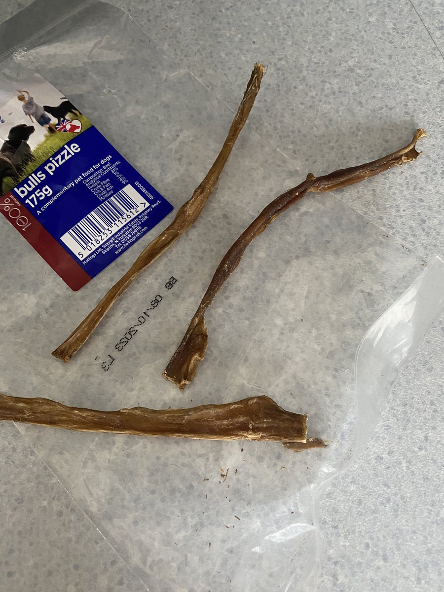 CSausagedogs's tweet image. Very disappointed with the size of bull’s penises  from @Jollyestweets this week. Is the average penis size now shrinking 😂😂😂