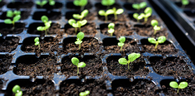 SAP.iO Foundries provide technical and go-to-market support to help startups integrate with SAP and become part of a curated ecosystem where their offerings are easily accessible to SAP customers. #SAP4Good bit.ly/3zwxOwC
