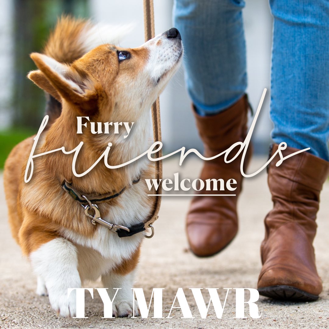 D O G  F R I E N D L Y  P U B  🐶       yes we are! 🐾

Tag a mate &amp; make a date at the Ty Mawr…water bowls &amp; treats waiting! 🐕 
#dogfriendlypub #cardiff #dogtreats