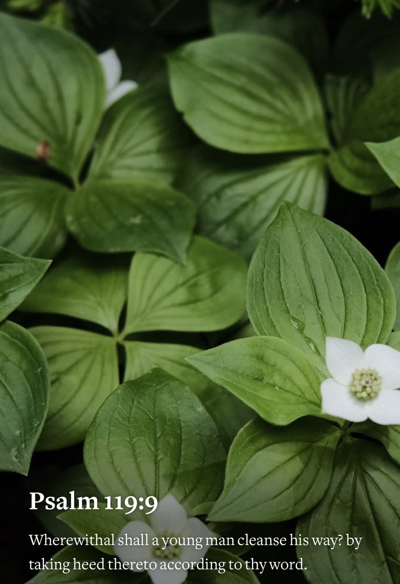 Seek God’s heart so that your heart is cleansed. HAVE A TERRIFIC TUESDAY!