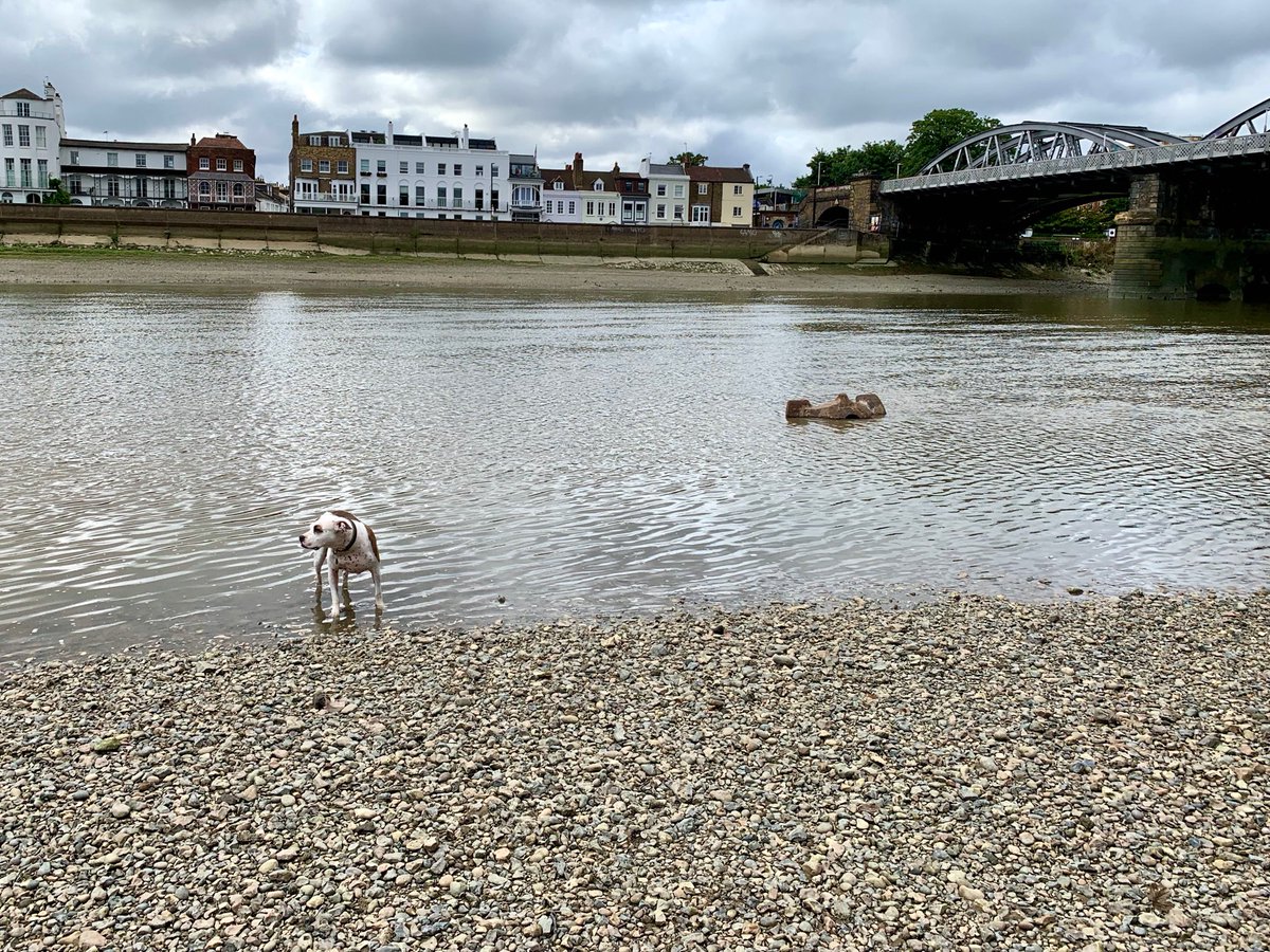 mscookiestamp's tweet photo. In the river again. https://t.co/2vPF7TAtpz