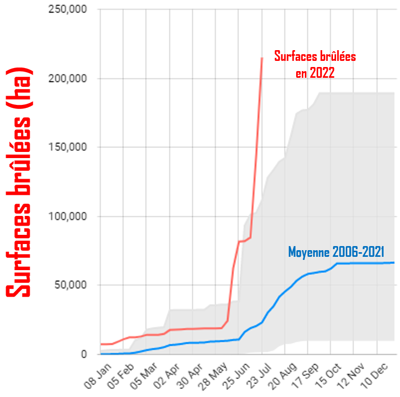 SergeZaka's tweet photo. L'Espagne est littéralement en feu 🔥 !
▶️Plus de 220000ha brûlés soit 11 fois la taille des incendies de Gironde.
▶️Il faut remonter à 1994 pour avoir des chiffres comparables.
▶️Nous sommes que le 26 juillet. La saison des feux de termine en octobre.
Data @jrc_EFFIS 
#incendio https://t.co/oRZw1OKgu4