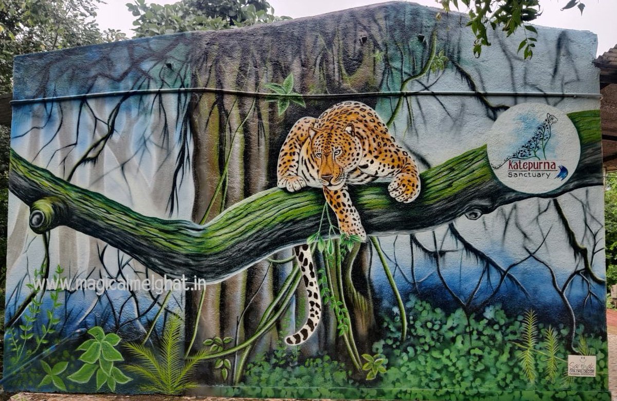 PawanJadhao19's tweet photo. #KatepurnaWildlifeSanctuary
#magicalmelghat 
#rainydays 
#lovenature
#naturetrail
 @magical_melghat https://t.co/UWYFhRw3ny