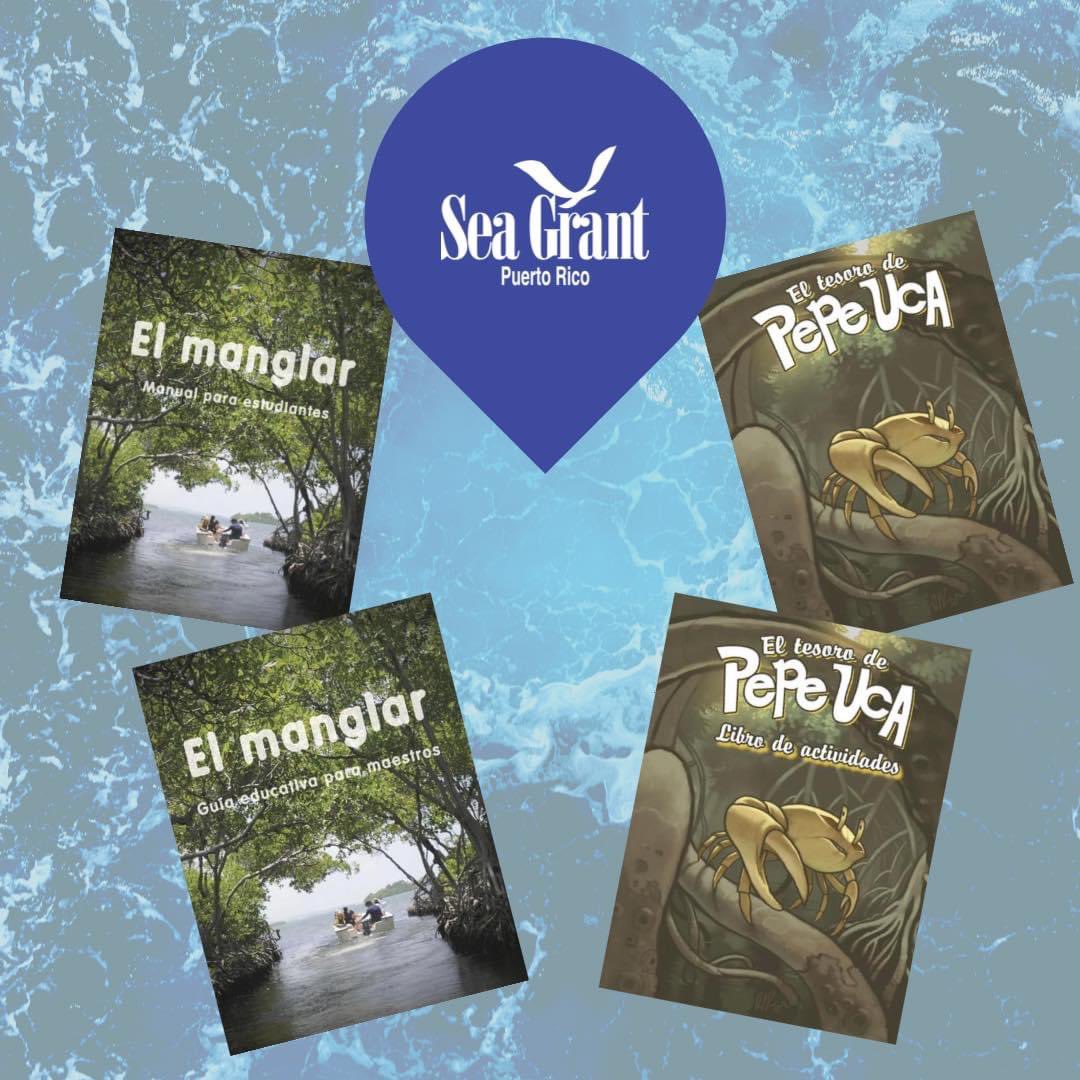 SeaGrantPR's tweet photo. Hoy celebramos el Día Internacional de la Protección del Ecosistema del Manglar.
Diseñamos una guía educativa con un trasfondo científico, que ayuda al docente en la integración de estos temas en el salón.
#whyseagrant #puertorico #manglar #seagrantcommsci #sciencewitheveryone https://t.co/YaGneRgBxW