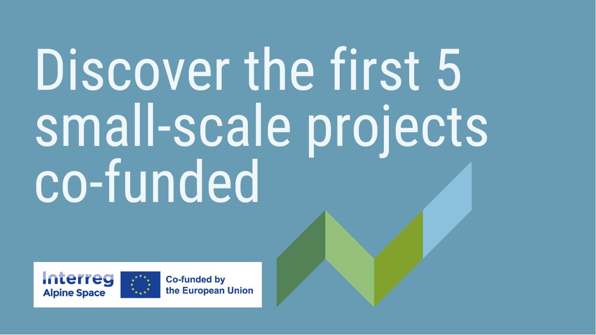 The Programme Committee approved its first-ever small-scale projects! The 5 project teams will tackle diverse Alpine challenges such as #energysecurity #remoteworking #biomass #wetlandsconservation or #energydata. Read more: bit.ly/3J7tXt1
#madewithalpinespace