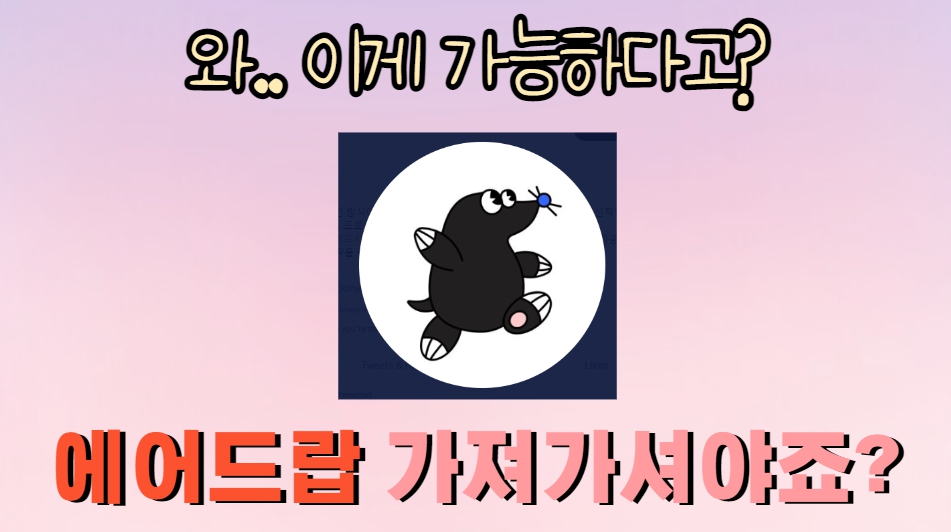 청춘 tweet media