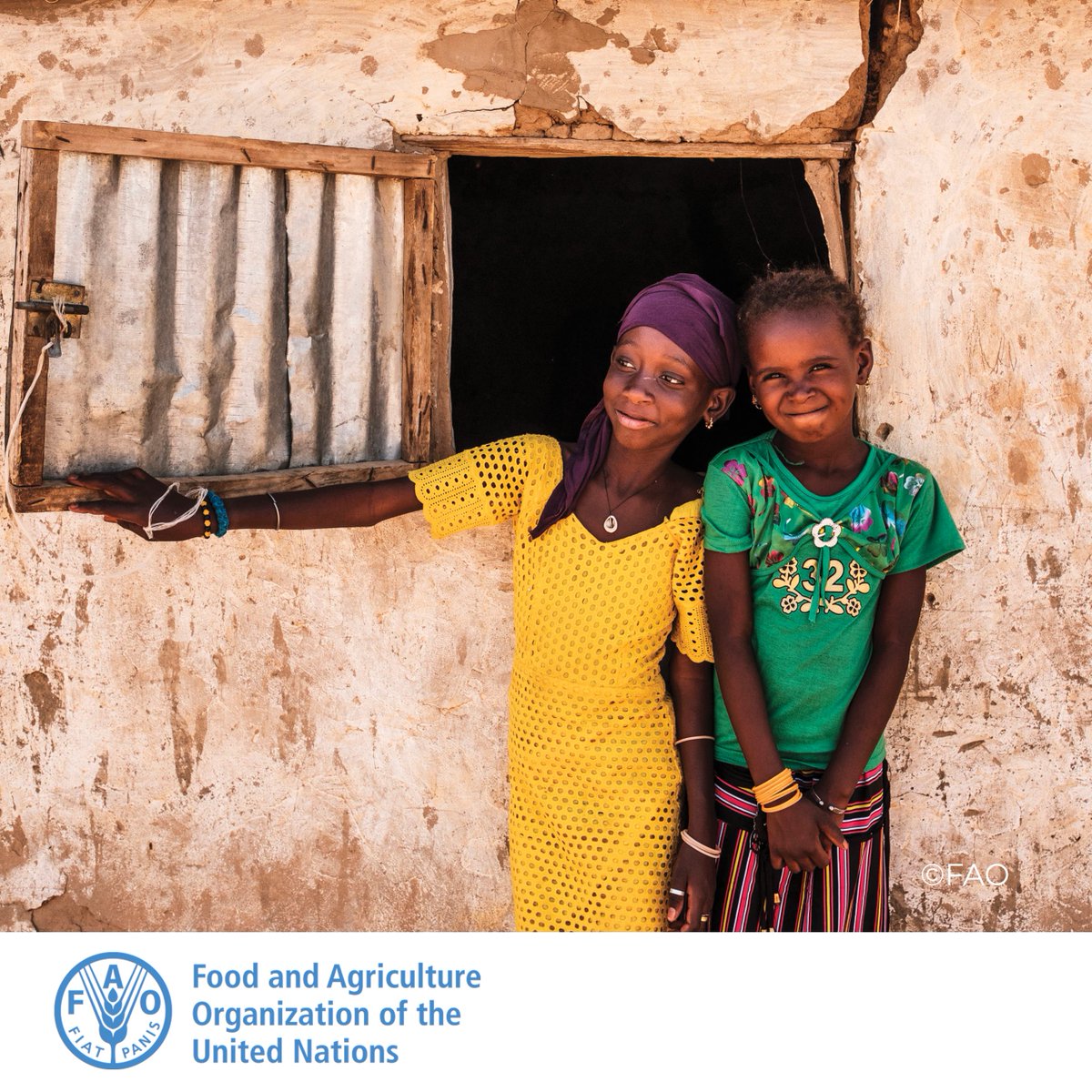 FAOAfrica's tweet photo. Evidence shows that in low-income countries in particular, investing in agriculture has a greater impact on reducing poverty than investing in other sectors. https://t.co/hQyAbbiI22