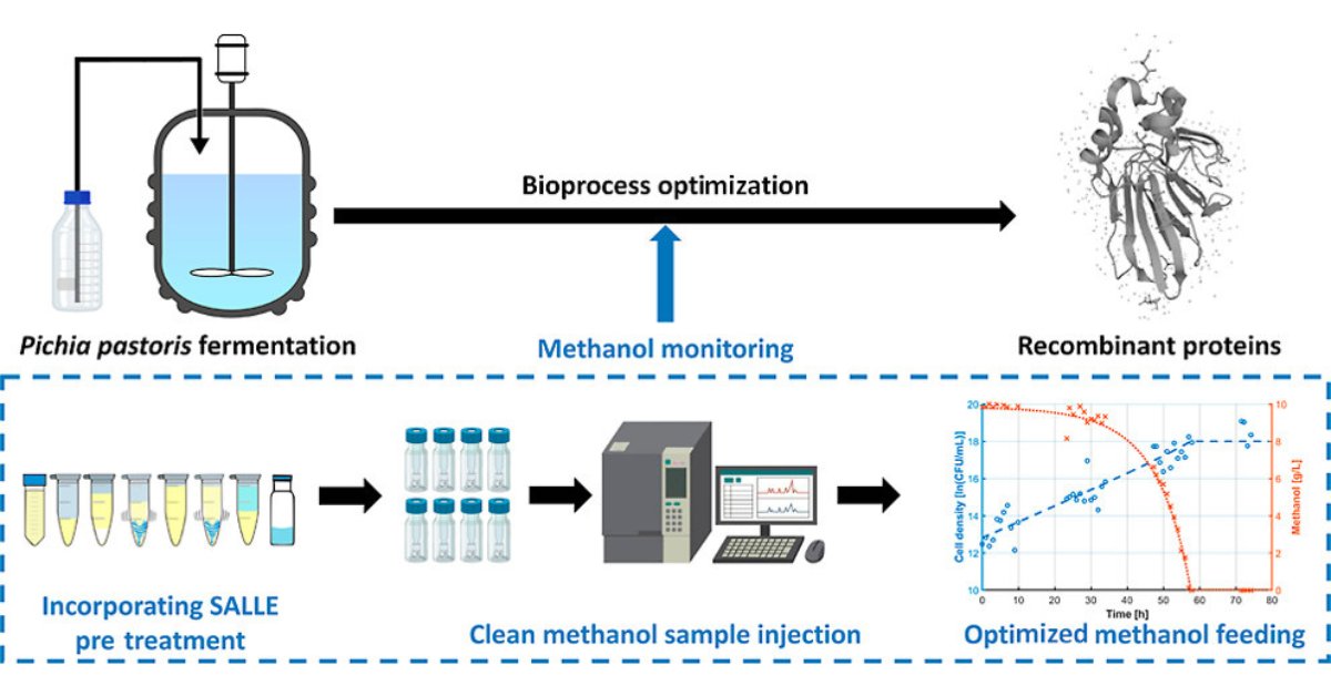 ACS_Omega's tweet photo. ▶️ Processing Method for the Quantification of Methanol and Ethanol from #Bioreactor Samples Using Gas Chromatography–Flame Ionization Detection

👥 Jan F. M. Van Impe &amp; coworkers

https://t.co/qJ3UyM6gDo

@KU_Leuven @KULeuvenBioTeC #Bioprocessing #Chromatography https://t.co/18DCXgaKSk