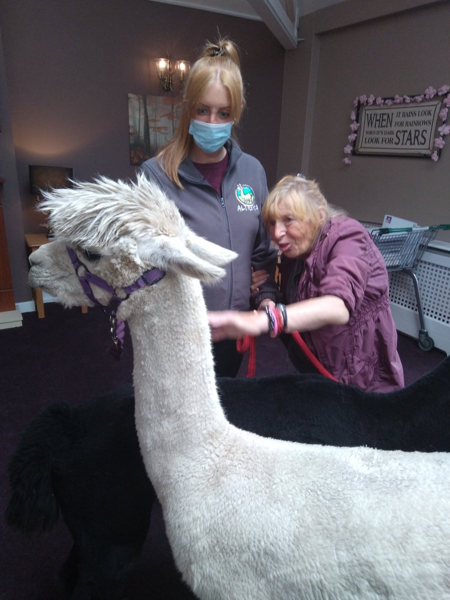 Larchfield care home tweet media