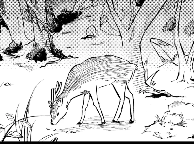 生き物かわいい! 