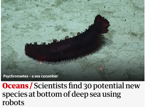 Benny Brycheiniog tweet media