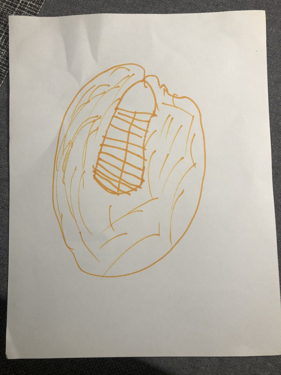 Me:  What is this?
5: Don’t worry about it.