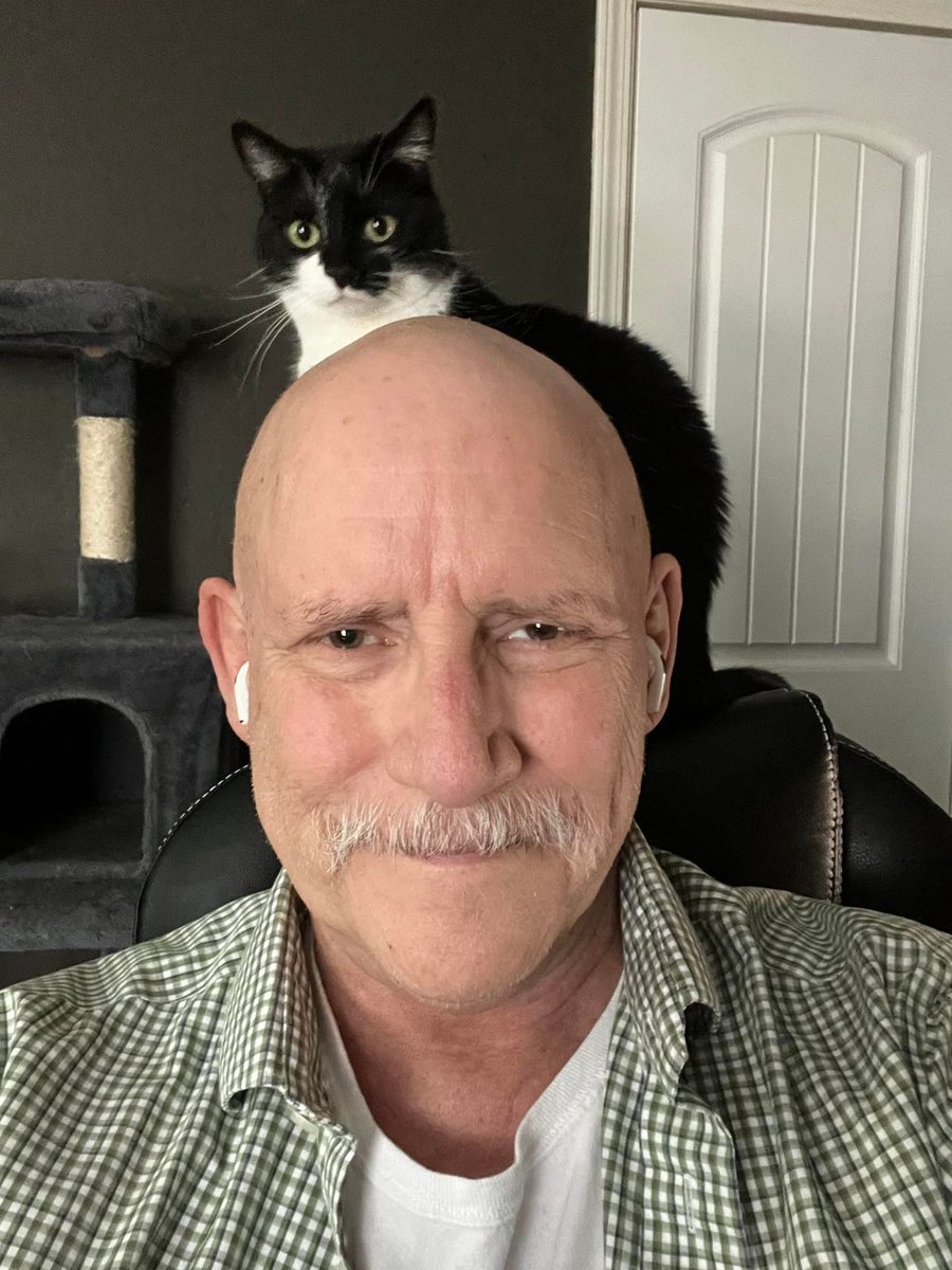 BeauChandler12's tweet photo. #catman #catmando #Stella
#82daysofcancersofar
#60daysofdoctorvisits https://t.co/12wIm25xnF