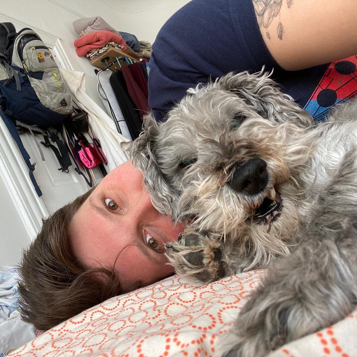 Jbears20's tweet photo. Didn’t remember my profile pic is of my and my buddy. Lost him suddenly on Saturday and still reeling. Here’s some pics of the sweetest boy in the whole world. Hope you get some good feels today because his presence always made you feel special.

Love you Fyedka. https://t.co/CSiKlaqEA2