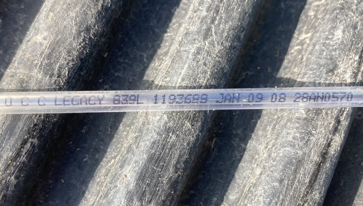 EdieCreekAngus's tweet photo. Doing some AI breeding before bulls get turned out.  OCC Legacy 839L was one of the first bulls we used that made a big impact on our cow herd. Daughters are feminine and sons are aggressive breeders. #HerdBuilder https://t.co/bOREz71N6Y