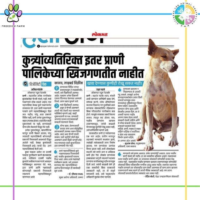 Citizens for Animal Protection on Twitter: Citizens for Animal Protection on Twitter: