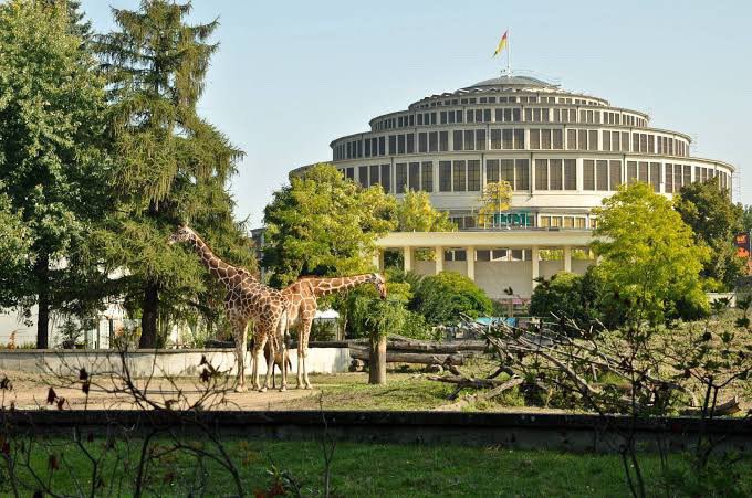 BalladOfPanem's tweet photo. The Centennial Hall in Wrocław, Poland is a filming location for ‘The Hunger Games: The Ballad of Songbirds &amp; Snakes’ 🇵🇱

The actors of the tributes have been shooting there for about a couple of weeks. https://t.co/NQzDAcB5uR