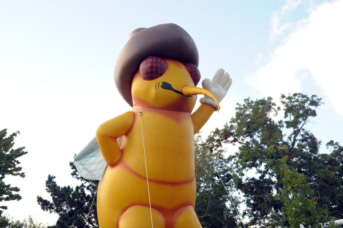 visitbrazosport's tweet image. The Great Texas Mosquito Festival officially kicks-off today in Clute. Go to their mosquitofestival.com for a schedule of events. #visitbrazosport #clutetx #mosquitofestival