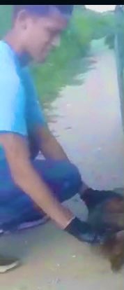 2) Para los que aun banalizan o minimizan la lucha que hemos emprendido desde el Ministerio Público contra el maltrato animal: les expresamos que este tipo de crimínales son capaces de atentar contra la vida de un niño, una mujer o un anciano #JUSTICIA