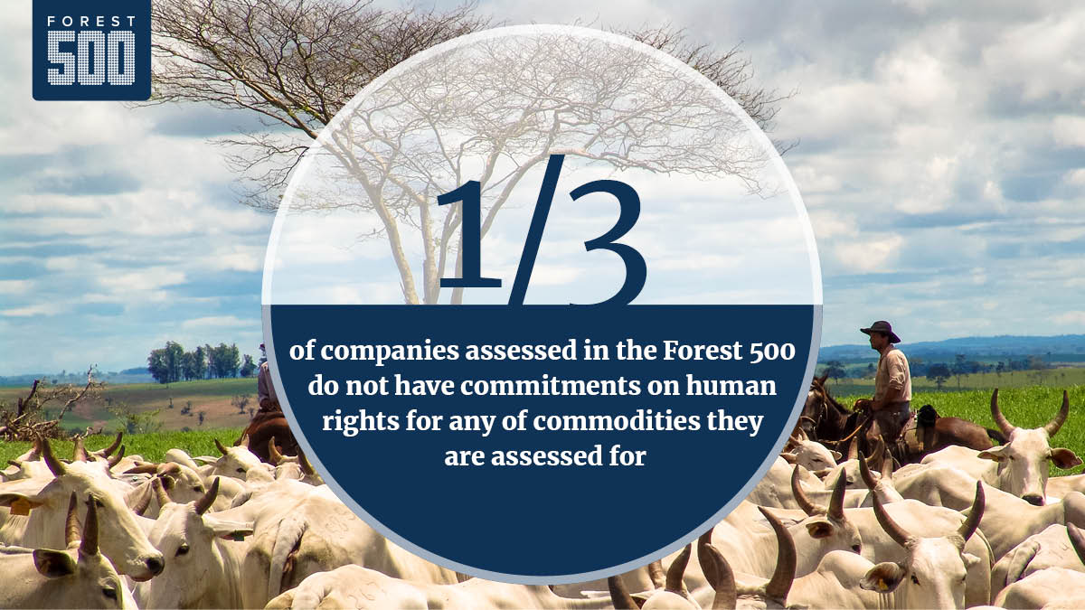 NEW BRIEF | The companies ignoring the human cost of deforestation. Read it here: ow.ly/XkS850K4x9R