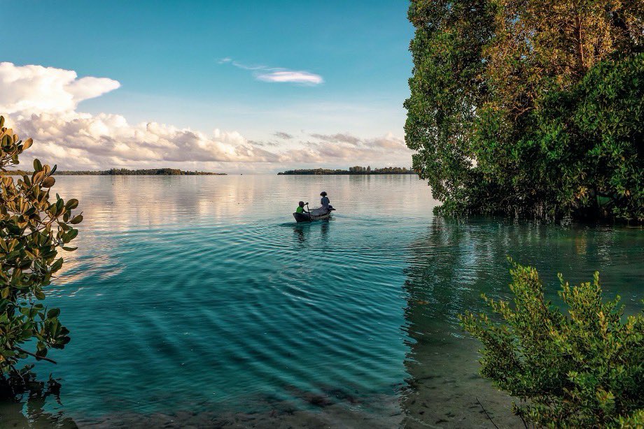It’s #WorldMangroveDay! Mangroves are important ecosystems that provide crucial functions and services to the communities that live near them. Therefore today, I want to highlight several organizations committed to equitable mangrove conservation and restoration:
